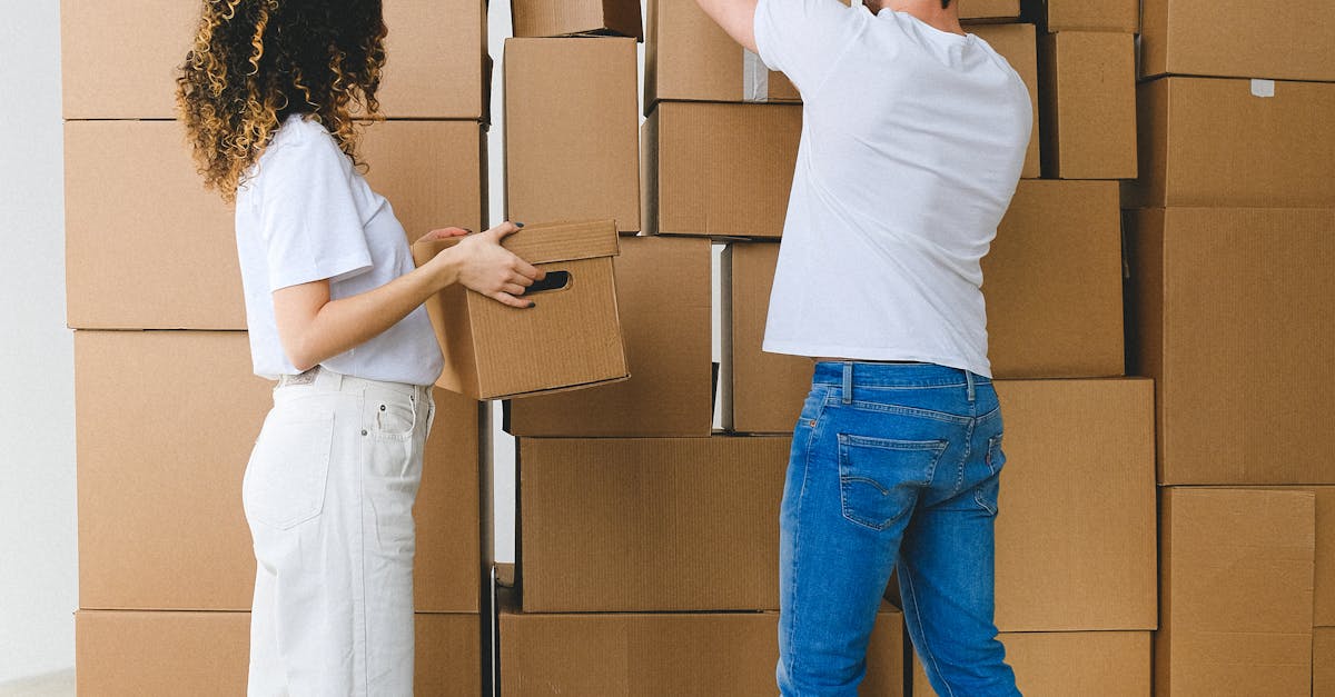 North Shadydale, Houston